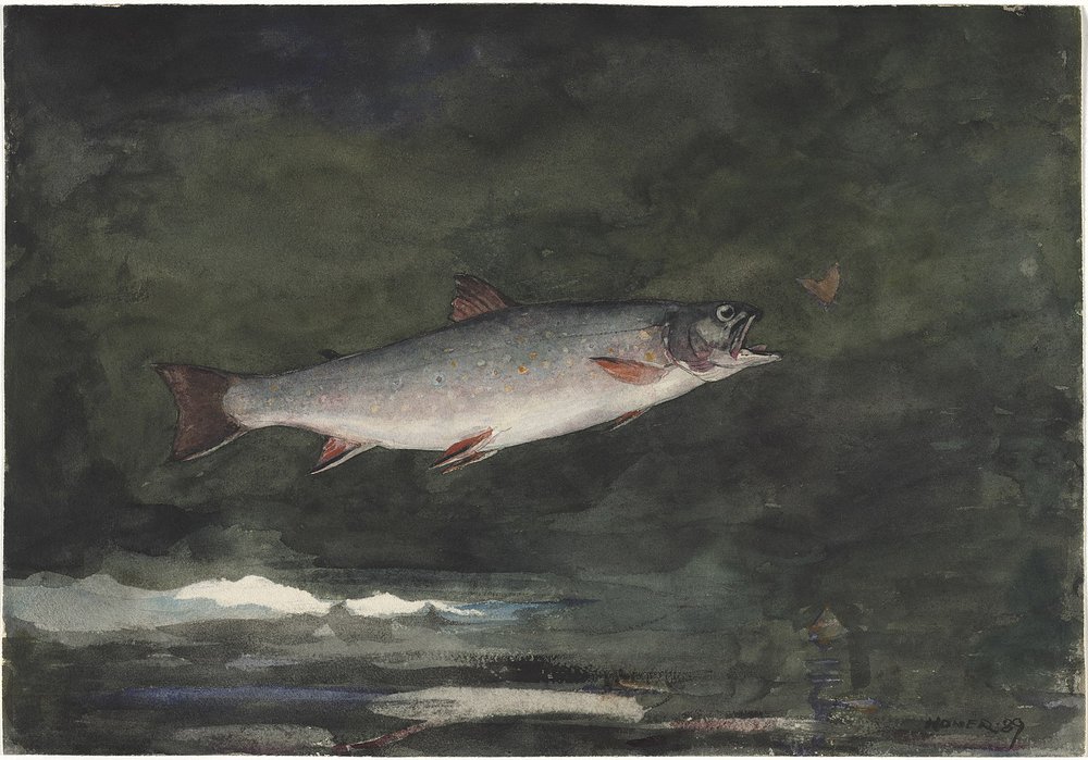 1599px-Winslow_Homer_-_Leaping_Trout_(1889).jpg