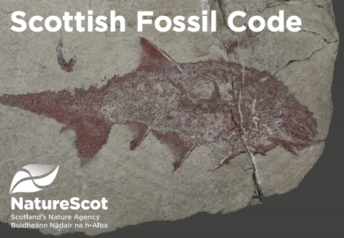 Fossil Code.png