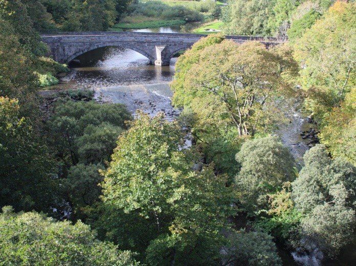 Howden bridge trees.jpg